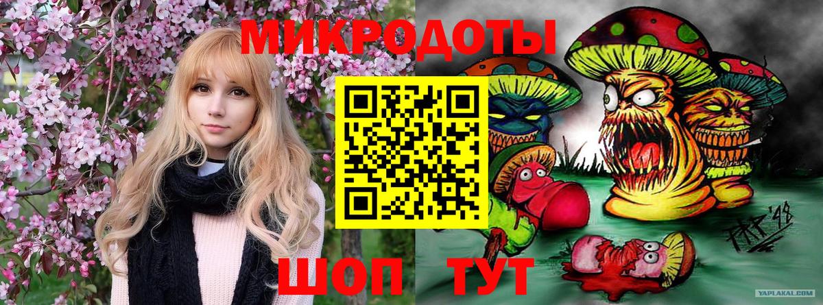 Галлюциногенные грибы MAGIC MUSHROOMS  Псилоцибиновые грибы Psilocybe  Вход с VPN  Михайловск 