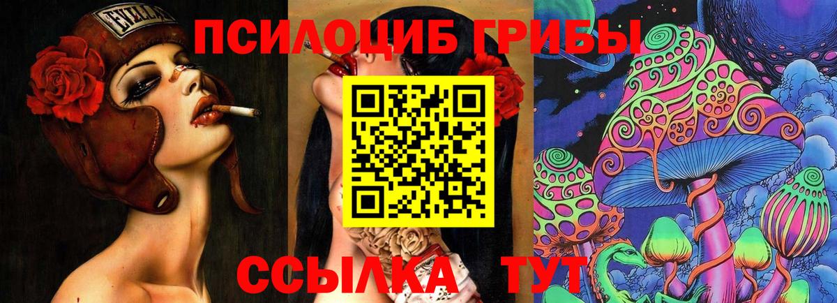 Галлюциногенные грибы Magic Shrooms Михайловск
